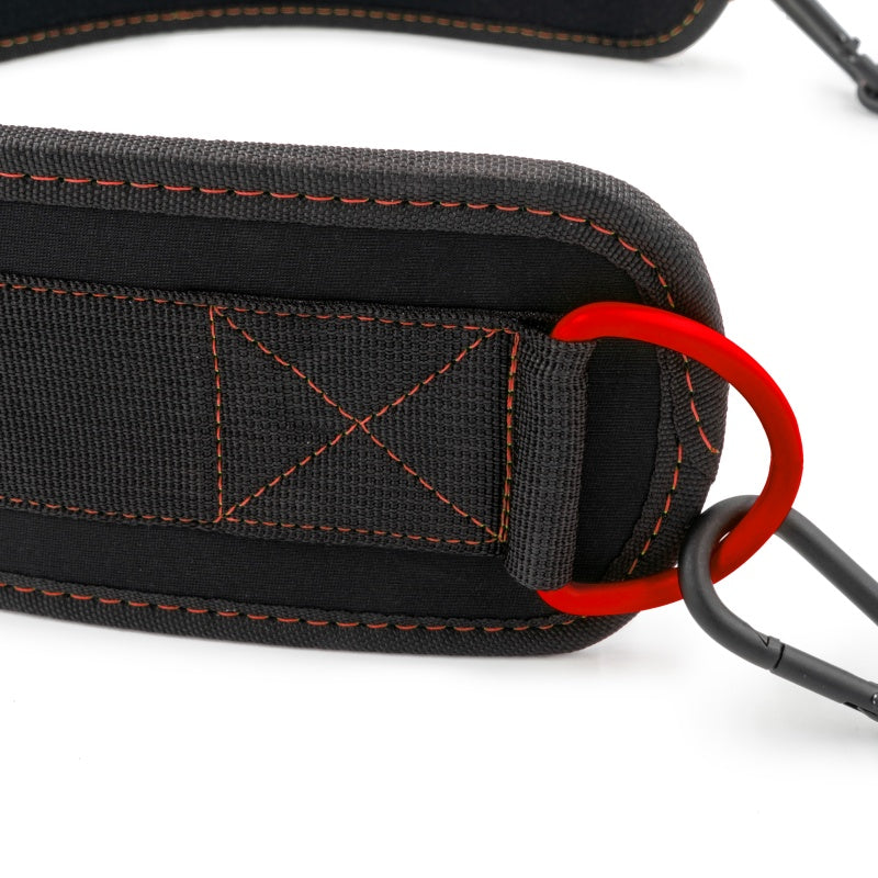 CP SPORTS Dip Belt No Pain No Gain (G5-1 NoPainNoGain)