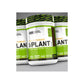 ON Gold Standard 100% Plant 1.5 lbs (720g)
