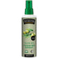 International Collection One Cal Spray Olive 190ml
