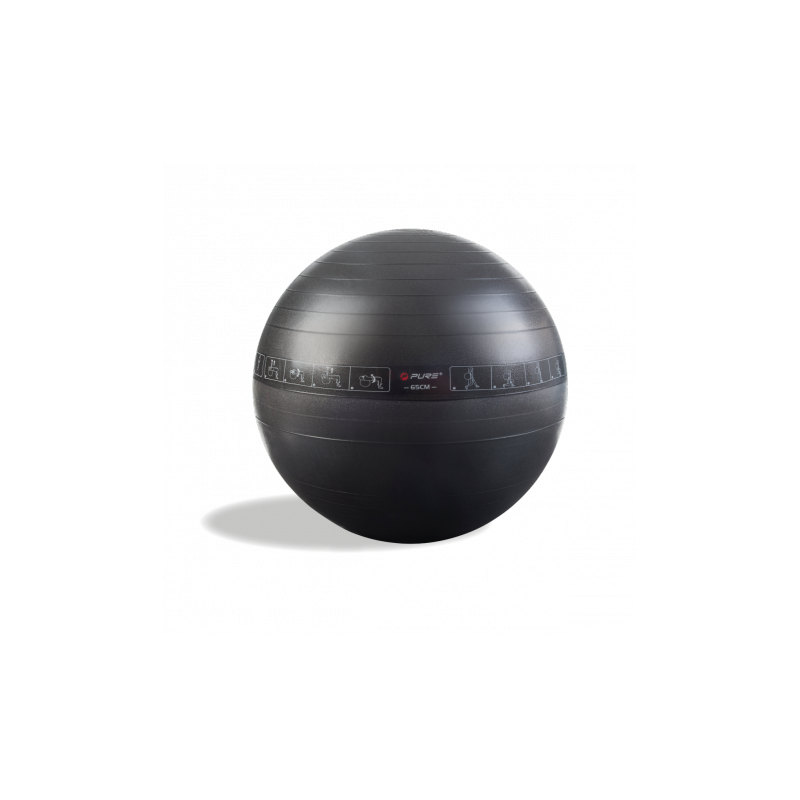 PURE 2Improve Exercise Ball 65cm