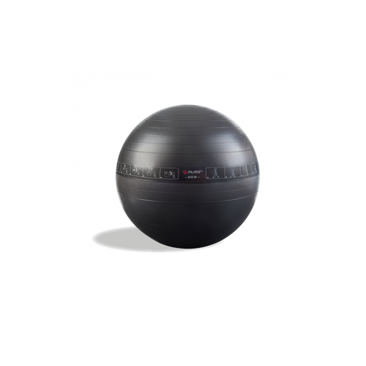 PURE 2Improve Exercise Ball 65cm