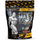 DY Nutrition Metabolic Mass Gainer 6kg