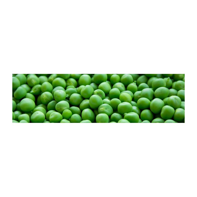 ICONFIT Pea Protein Isolate 800g
